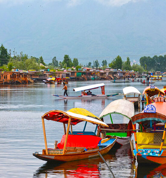 Kashmir